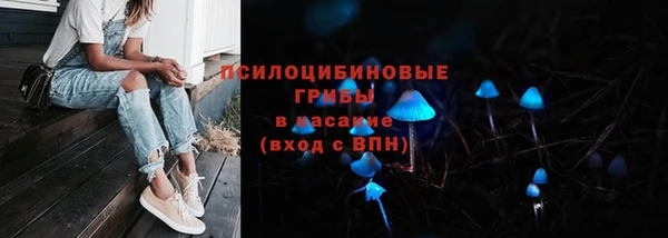 МДПВ Верхний Тагил